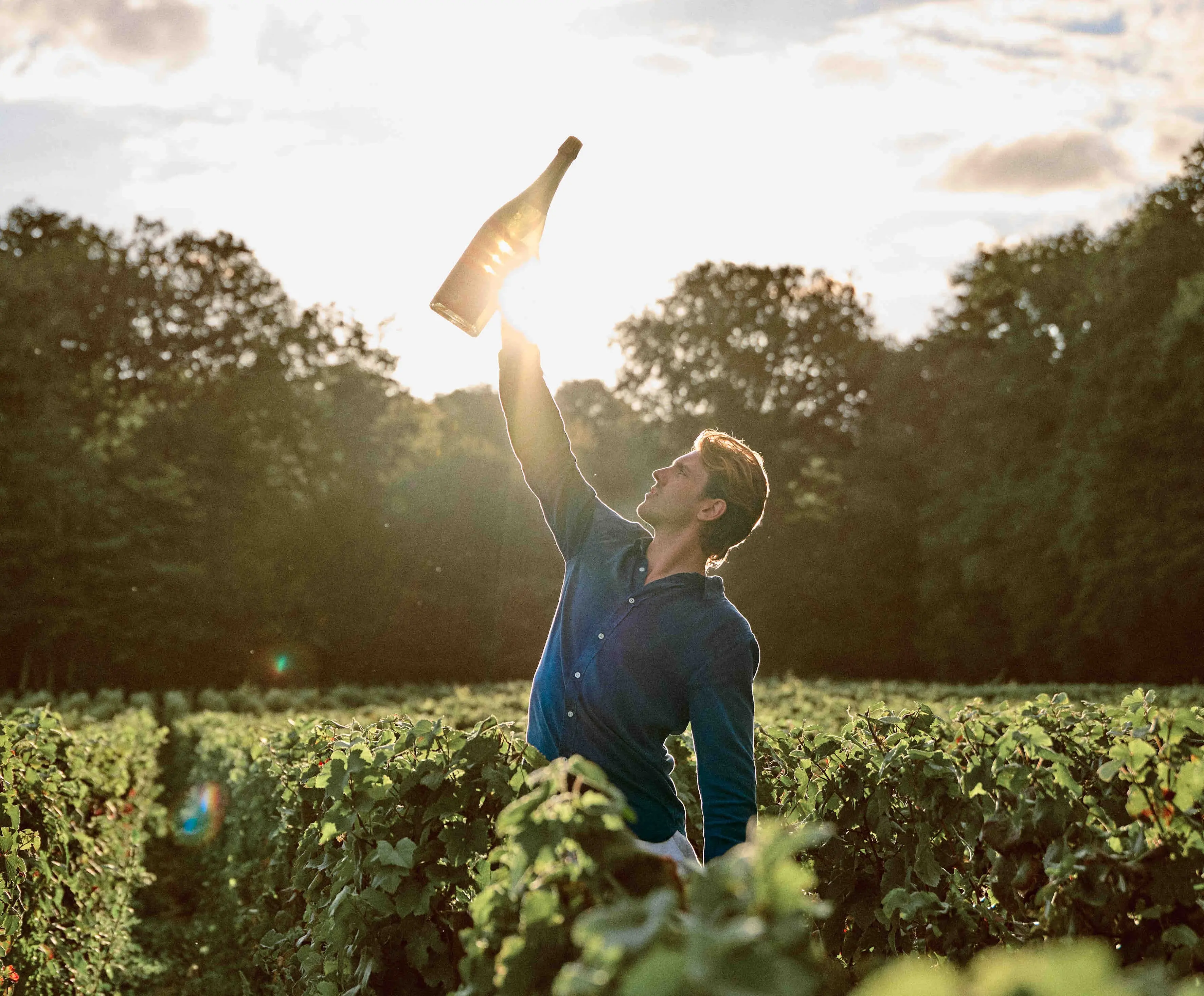 Selectie van verschillende champagnes